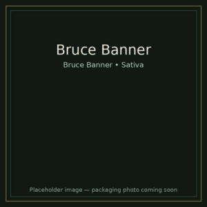 Bruce Banner